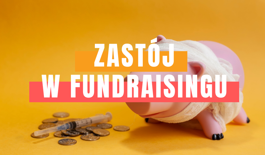 [CLNGO 75] Zastój w fundraisingu